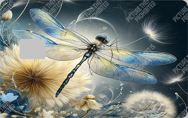 Bank  Card Sticker-BC-394